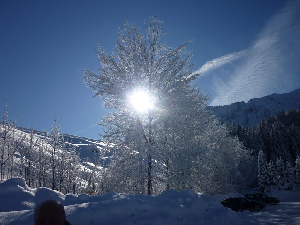 Appartementhaus Alpenrose Wallgau Buitenkant foto